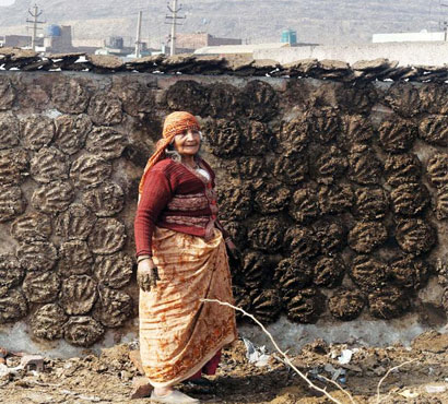 pujya-mohan-bapa-gau-shala-2